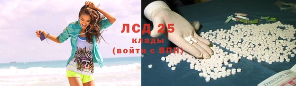 ПСИЛОЦИБИНОВЫЕ ГРИБЫ Алзамай