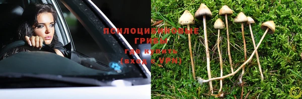 ПСИЛОЦИБИНОВЫЕ ГРИБЫ Алзамай