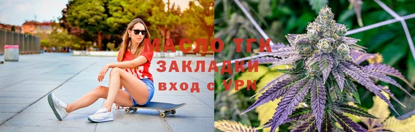 тгк Алексин