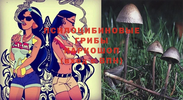 ПСИЛОЦИБИНОВЫЕ ГРИБЫ Алзамай