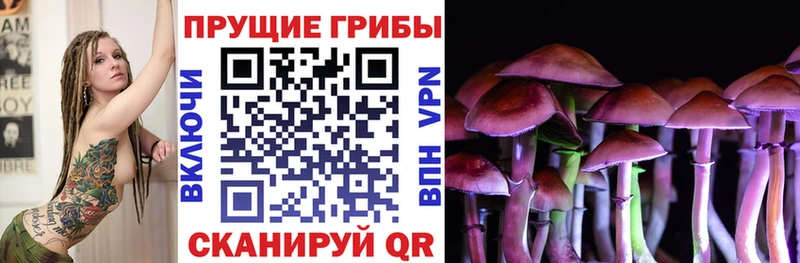 Галлюциногенные грибы Psilocybe  Купить закладки  Канаш 