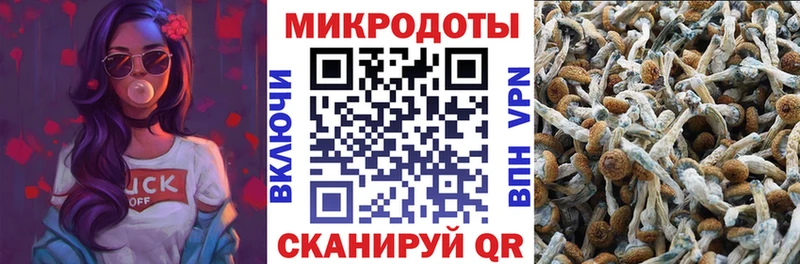 Галлюциногенные грибы Cubensis Канаш